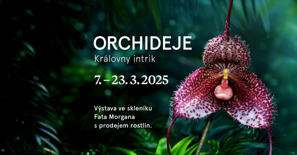 Orchideje: královny intrik – výstava orchidejí s prodejem rostlin v Praze